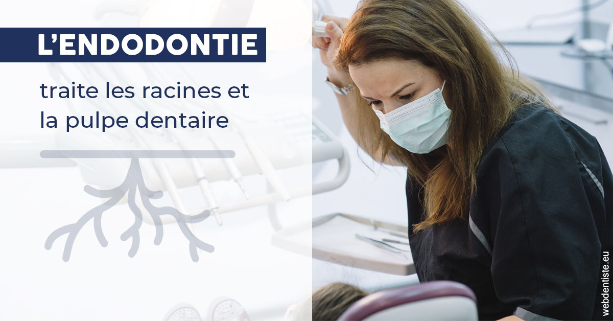 https://dr-dehay-dorothee.chirurgiens-dentistes.fr/L'endodontie 1