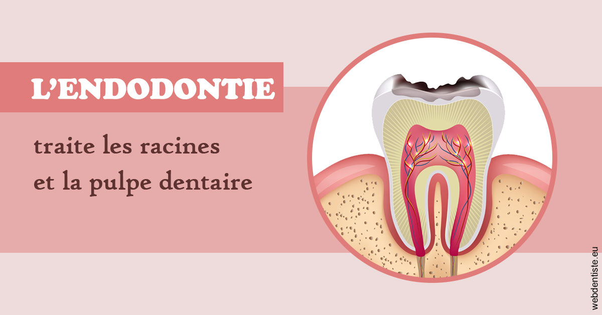 https://dr-dehay-dorothee.chirurgiens-dentistes.fr/L'endodontie 2