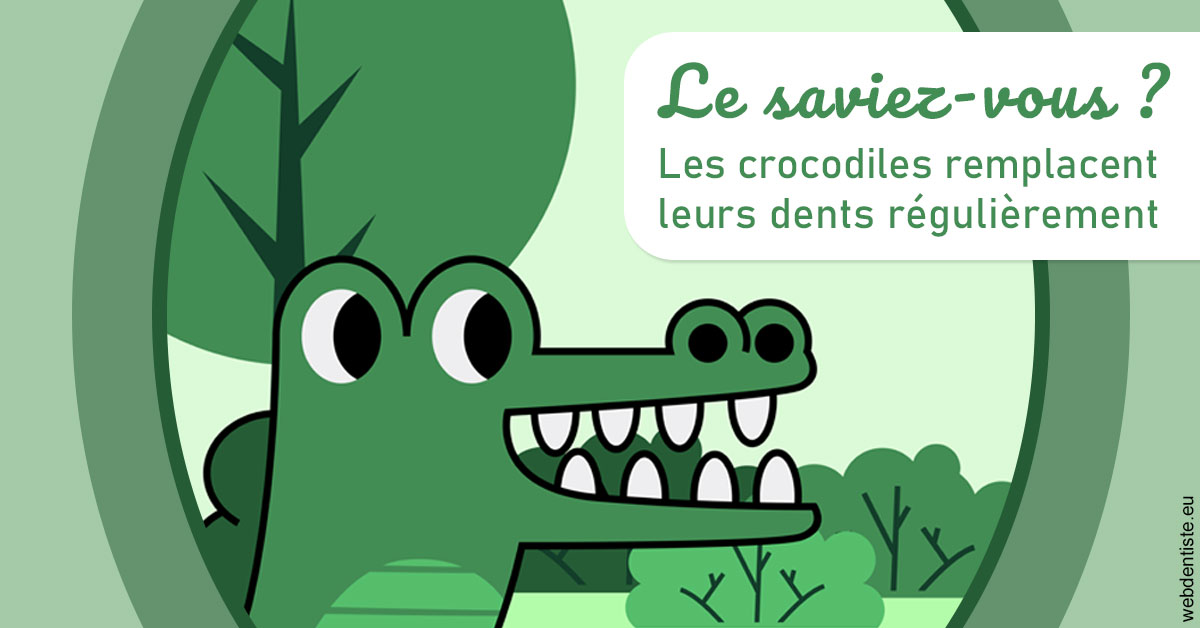 https://dr-dehay-dorothee.chirurgiens-dentistes.fr/Crocodiles 2