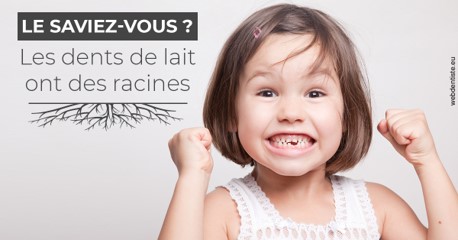 https://dr-dehay-dorothee.chirurgiens-dentistes.fr/Les dents de lait