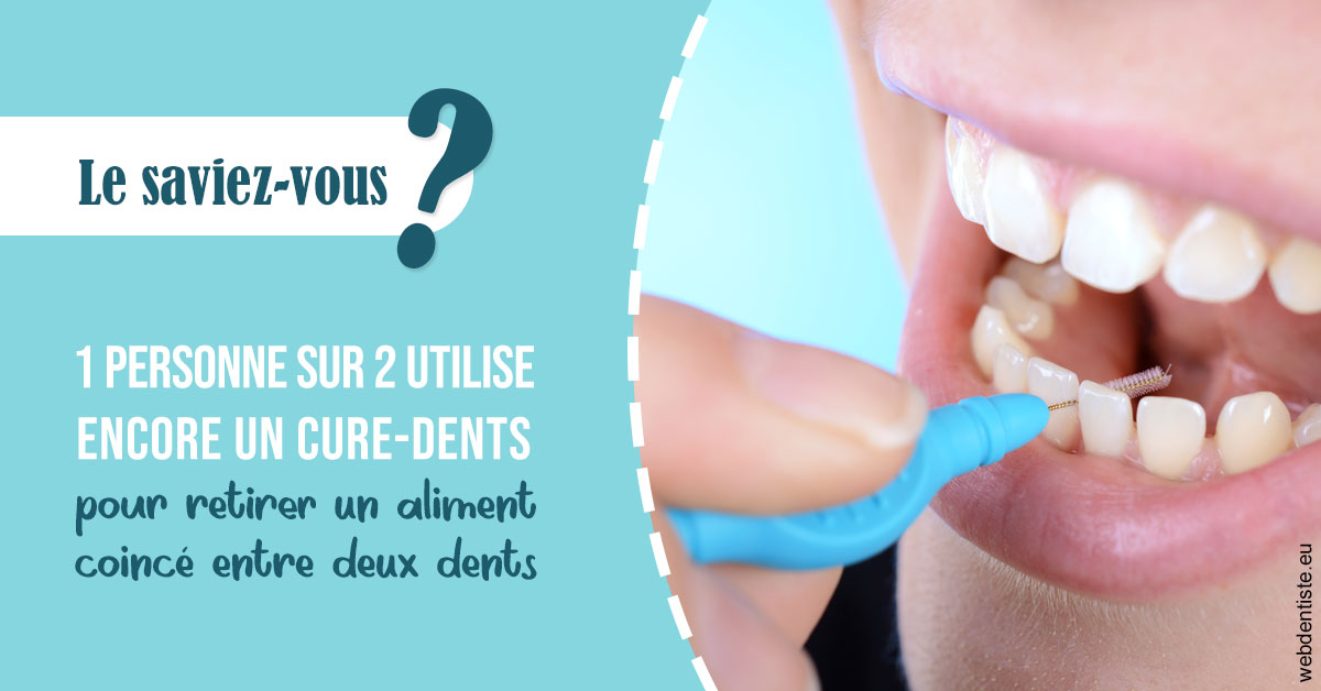 https://dr-dehay-dorothee.chirurgiens-dentistes.fr/Cure-dents 1
