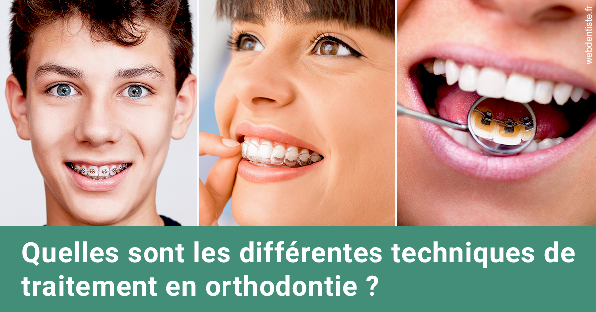 https://dr-dehay-dorothee.chirurgiens-dentistes.fr/Les différentes techniques de traitement 2