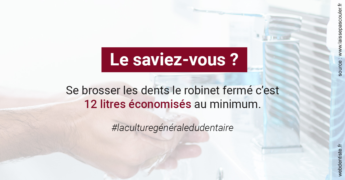 https://dr-dehay-dorothee.chirurgiens-dentistes.fr/Economies d'eau 2