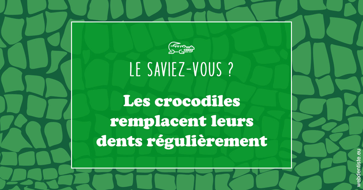 https://dr-dehay-dorothee.chirurgiens-dentistes.fr/Crocodiles 1
